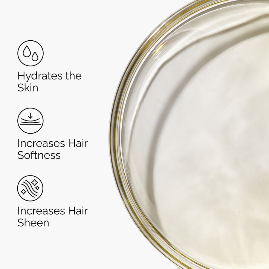 100-organic-cold-pressed-moroccan-argan-oil-c1 FY25-D41247-ORD-Web-PDP-100-Argan-Oil-1x1-EN-3.jpg