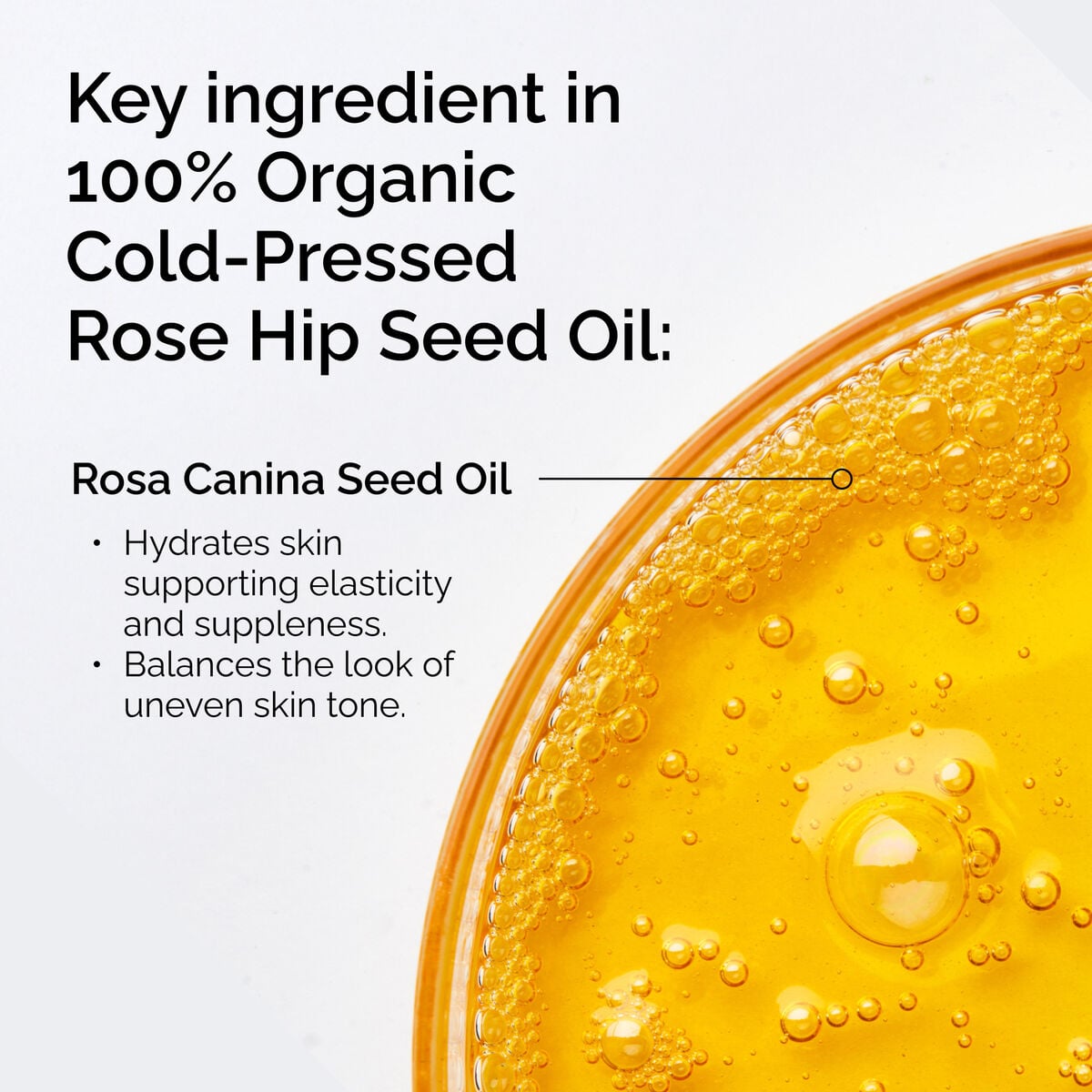 100-organic-cold-pressed-rose-hip-seed-oil-t9 FY25-D41247-ORD-Web-PDP-100-Rose-Hip-Oil-1x1-EN-2.jpg